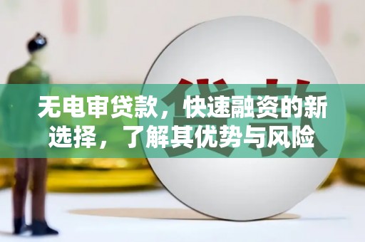 炎陵无电审贷款，快速融资的新选择，了解其优势与风险