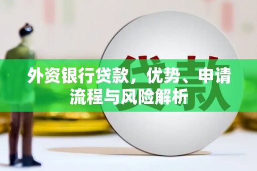 炎陵外资银行贷款，优势、申请流程与风险解析