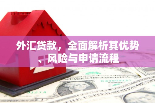 炎陵外汇贷款，全面解析其优势、风险与申请流程