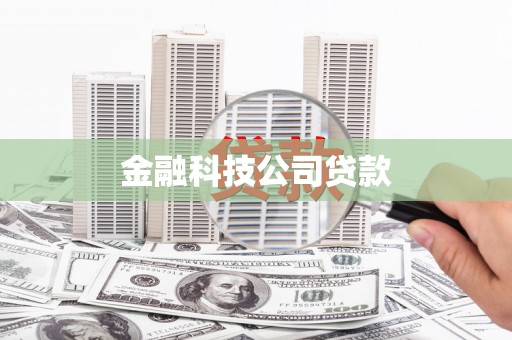 炎陵金融科技公司贷款