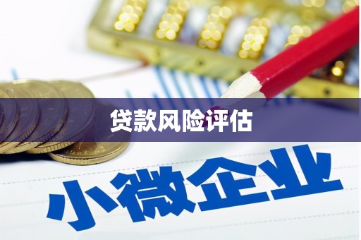 炎陵贷款风险评估