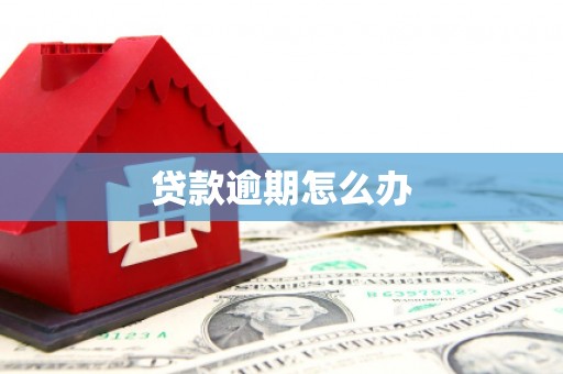 炎陵贷款逾期怎么办