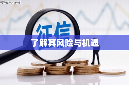 炎陵了解其风险与机遇