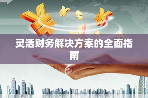 炎陵灵活财务解决方案的全面指南