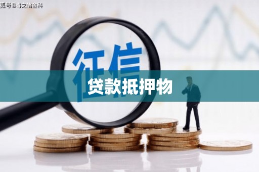 炎陵贷款抵押物