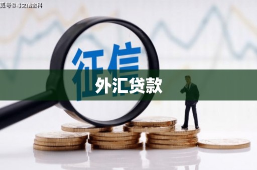 炎陵外汇贷款
