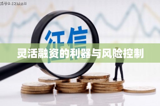 炎陵灵活融资的利器与风险控制