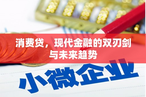 炎陵消费贷，现代金融的双刃剑与未来趋势
