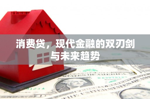 炎陵消费贷，现代金融的双刃剑与未来趋势