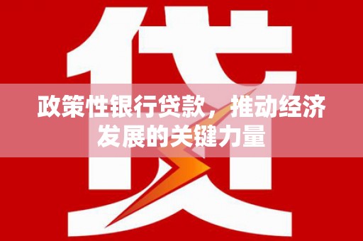 炎陵政策性银行贷款，推动经济发展的关键力量