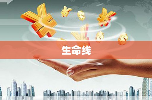 炎陵生命线