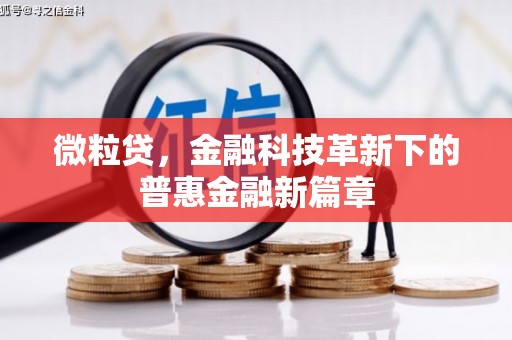 炎陵微粒贷，金融科技革新下的普惠金融新篇章