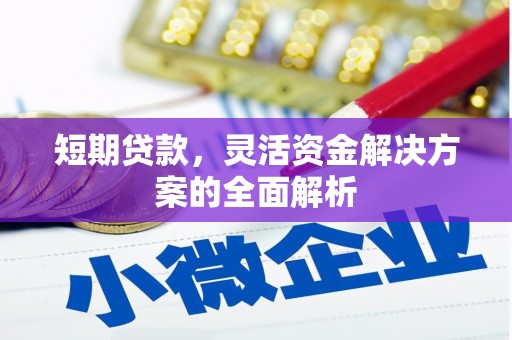 炎陵短期贷款，灵活资金解决方案的全面解析