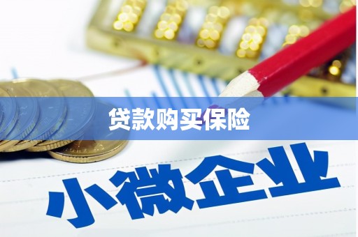 炎陵贷款购买保险