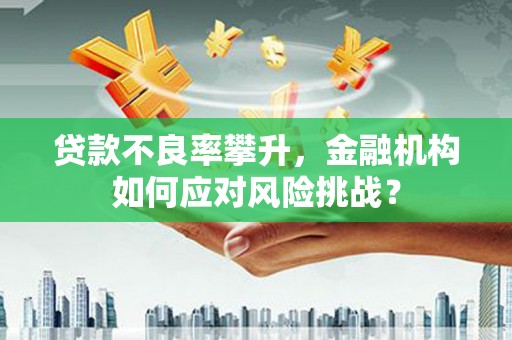 炎陵贷款不良率攀升，金融机构如何应对风险挑战？