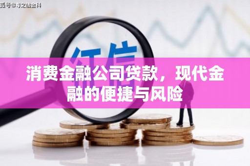炎陵消费金融公司贷款，现代金融的便捷与风险