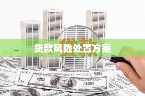 炎陵贷款风险处置方案