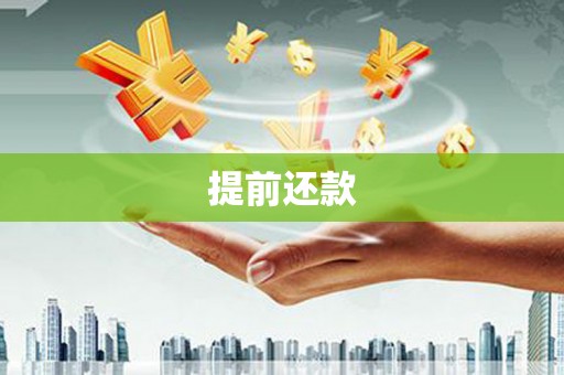炎陵提前还款